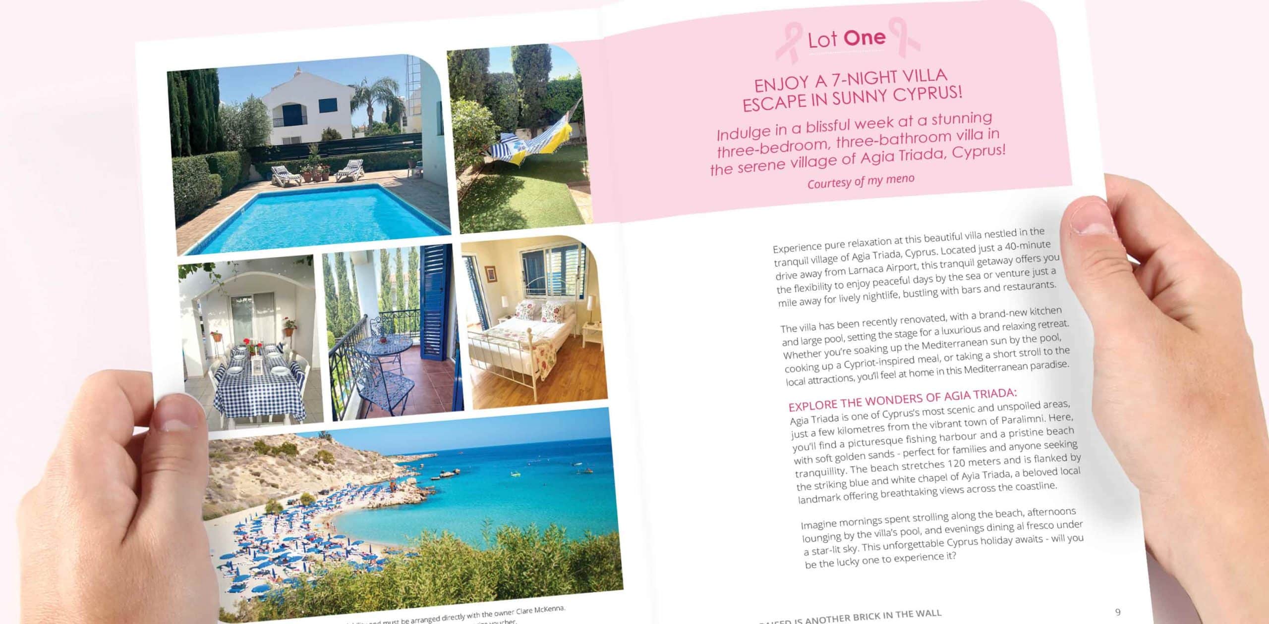 Breast Cancer Charity Auction Prize