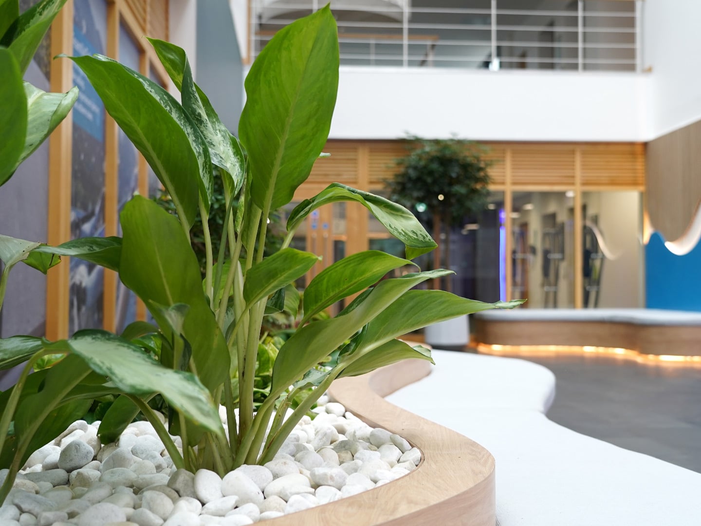 Close up of Planting