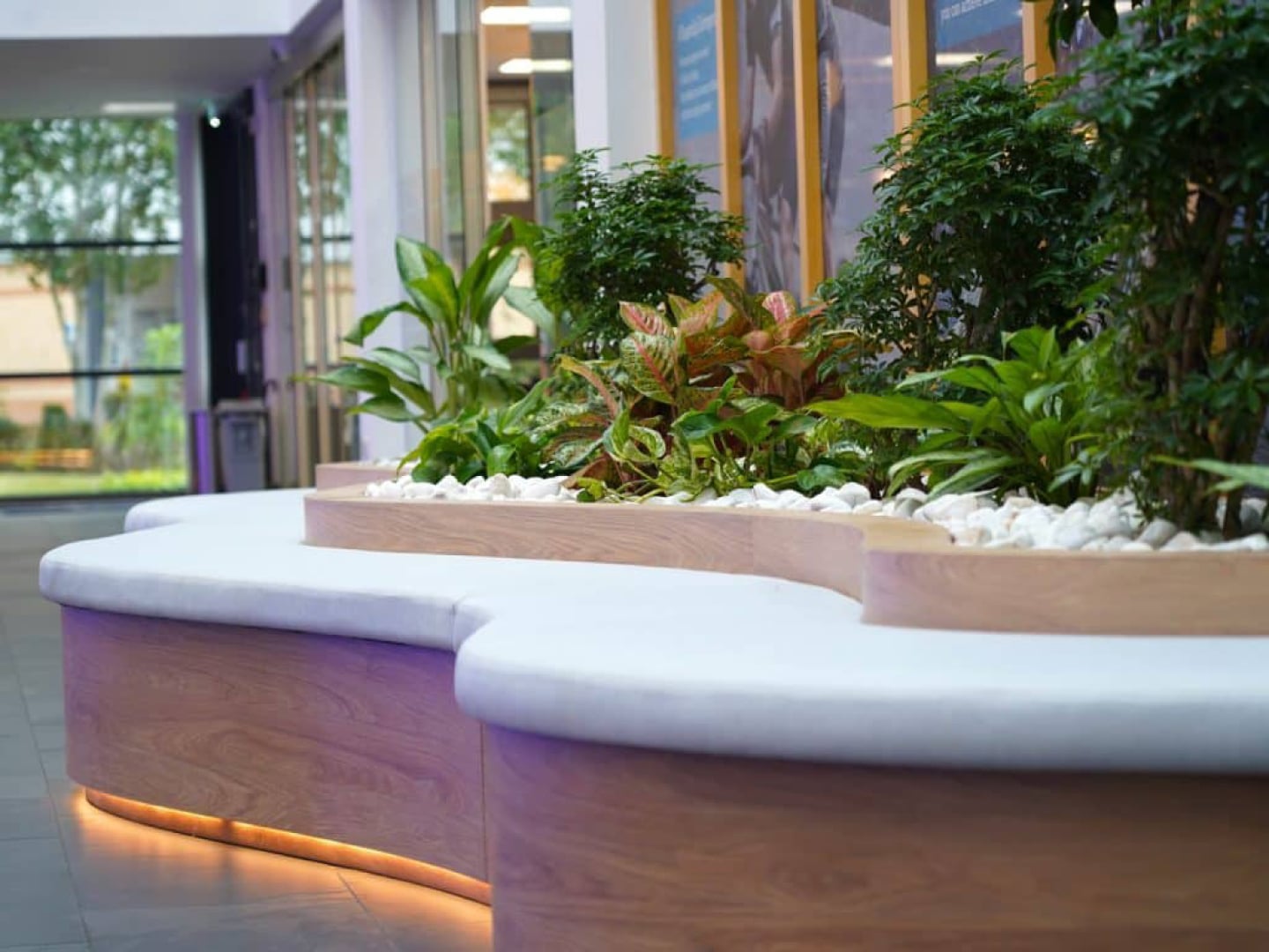 Selected planting for the seating area